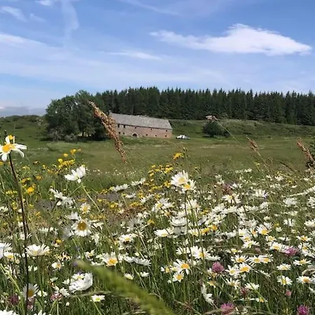 Mezenc. Holiday home